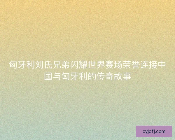 匈牙利刘氏兄弟闪耀世界赛场荣誉连接中国与匈牙利的传奇故事