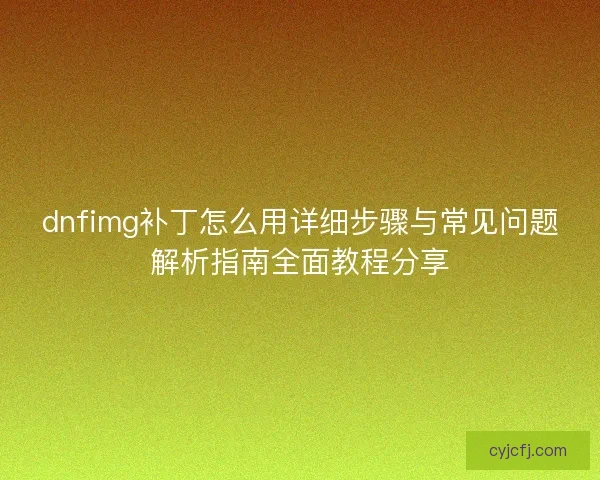 dnfimg补丁怎么用详细步骤与常见问题解析指南全面教程分享