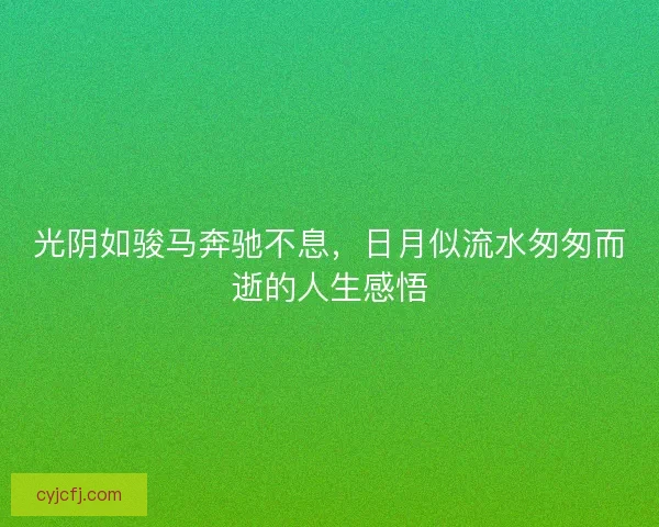 光阴如骏马奔驰不息，日月似流水匆匆而逝的人生感悟