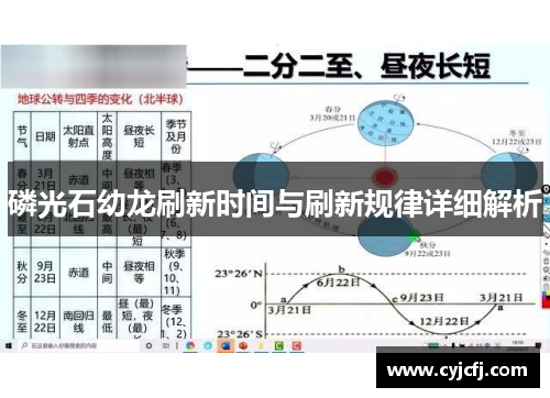 磷光石幼龙刷新时间与刷新规律详细解析